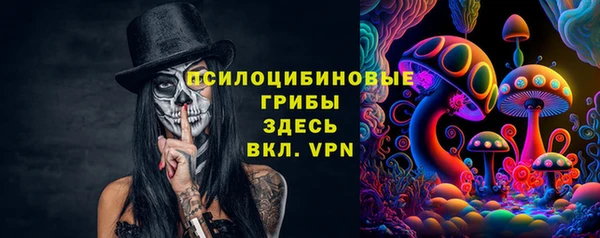 ПСИЛОЦИБИНОВЫЕ ГРИБЫ Балахна